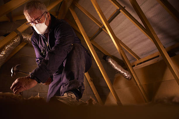 Best Insulation Maintenance and Repair in Sabina, OH